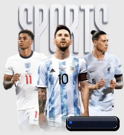 mk体育的故事 | MK Sports