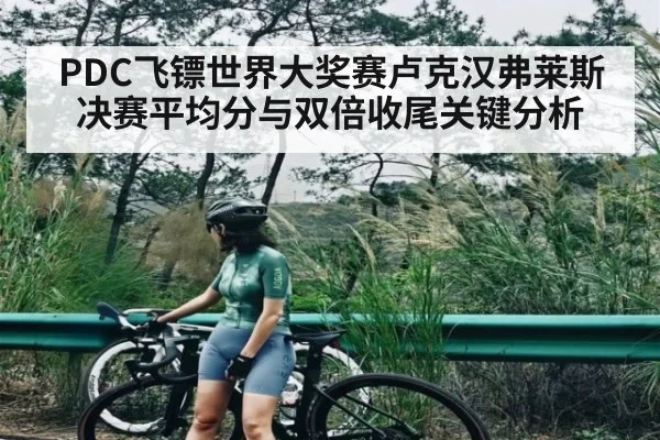 PDC飞镖世界大奖赛卢克汉弗莱斯决赛平均分与双倍收尾关键分析